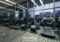 The Peak @ Cairnhill II (D9), Apartment #308100111